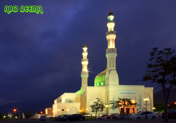 صور من ابداع اعضاء عمان فوتو