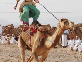 صور من ابداع اعضاء عمان فوتو