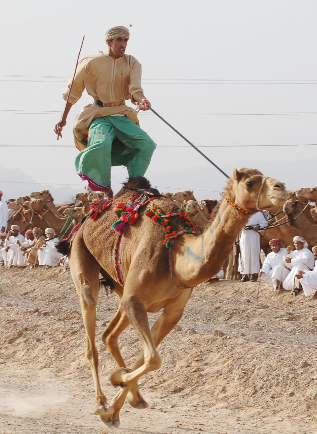 صور من ابداع اعضاء عمان فوتو