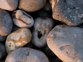 صور منوعة من الإنترنت
