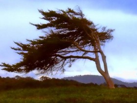 صور منوعة من الإنترنت