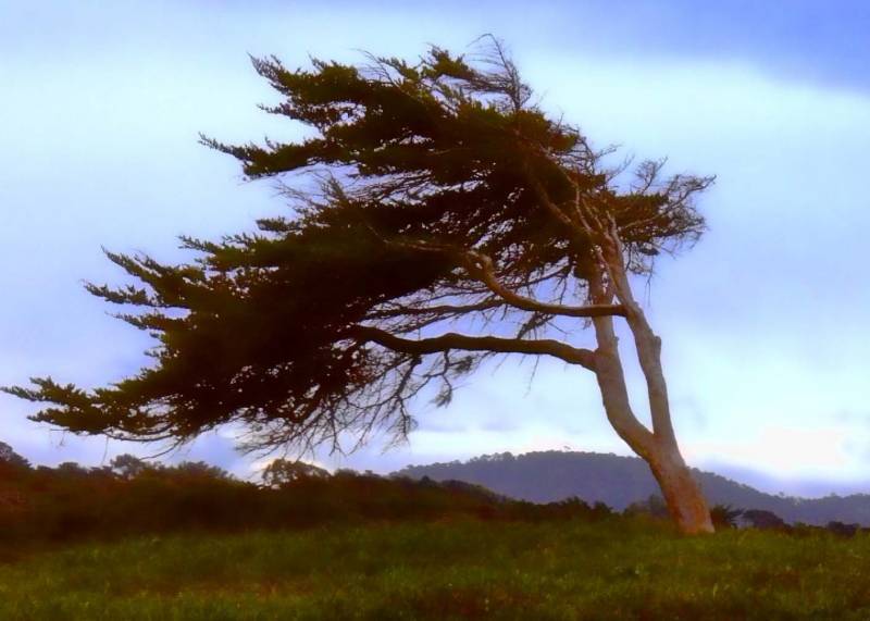 صور منوعة من الإنترنت