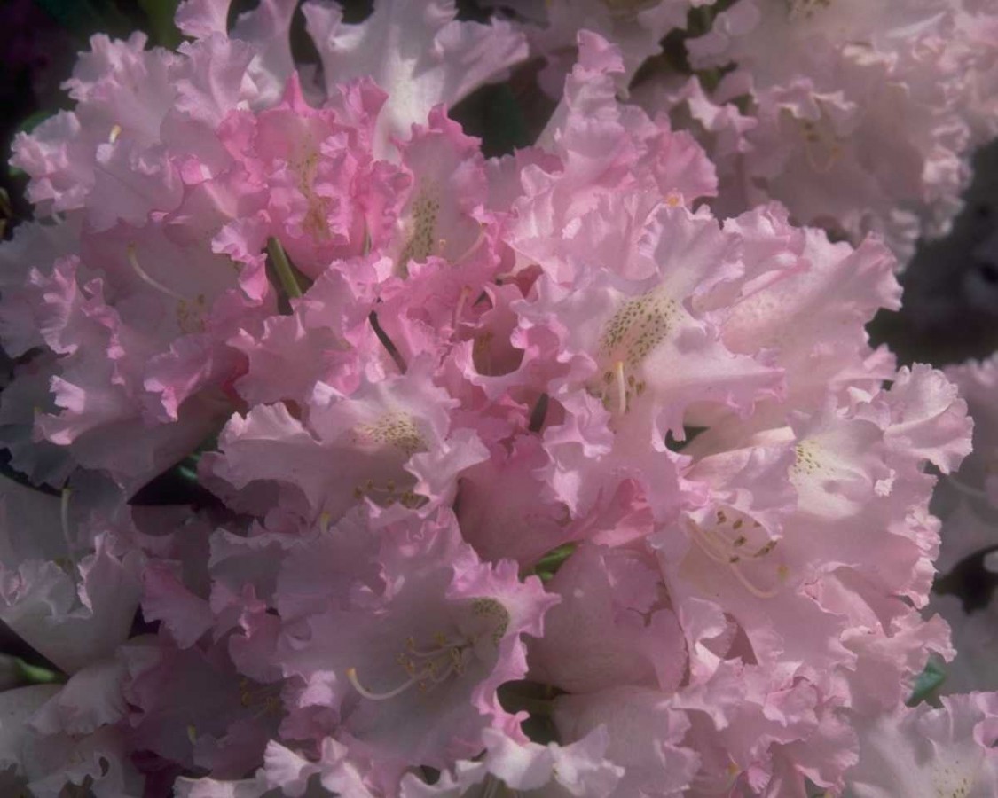 PTBL0144
