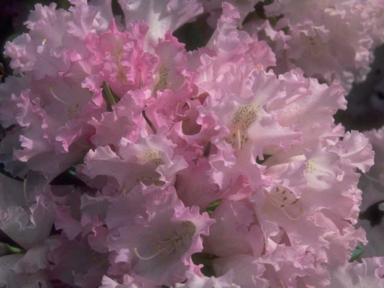 PTBL0144