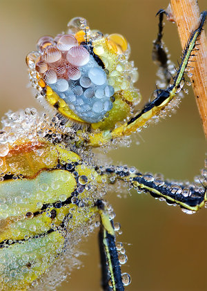 image0202