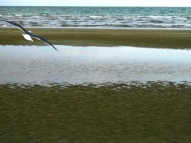 صور من ابداع اعضاء عمان فوتو