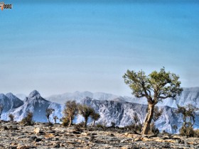 صور من ابداع اعضاء عمان فوتو