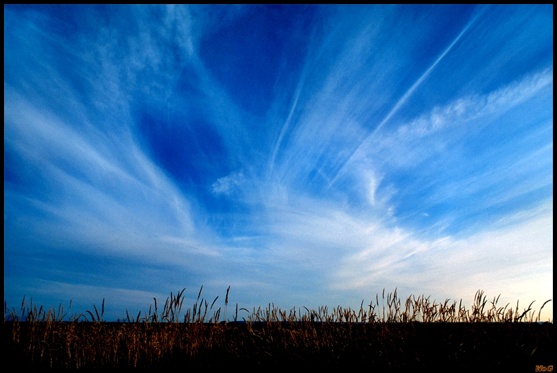 1600768-79a62f595645cac6_2_