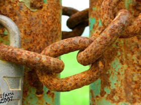 صور من ابداع اعضاء عمان فوتو