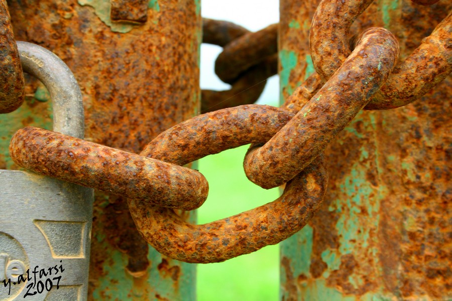 صور من ابداع اعضاء عمان فوتو