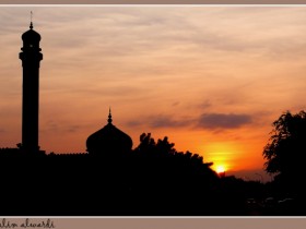 صور من ابداع اعضاء عمان فوتو