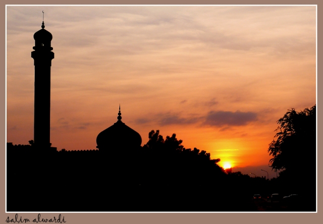 صور من ابداع اعضاء عمان فوتو