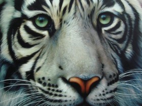 white_tiger_2_by_Raipun