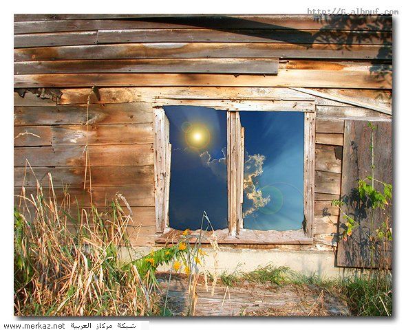 nice_pic_design_photo_73_1_