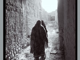 صور من ابداع اعضاء عمان فوتو