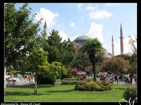 صور من ابداع اعضاء عمان فوتو