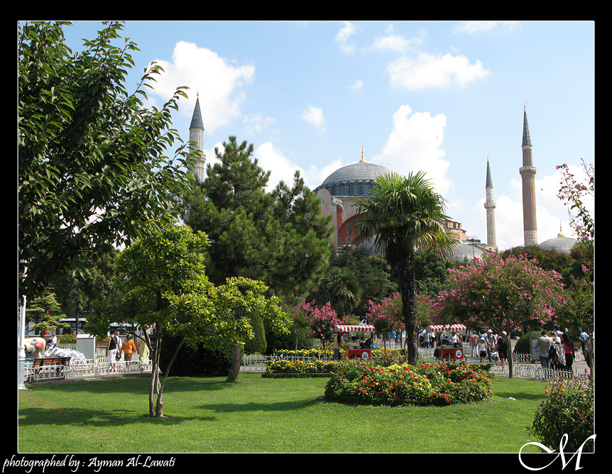 صور من ابداع اعضاء عمان فوتو