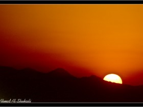 صور من ابداع اعضاء عمان فوتو