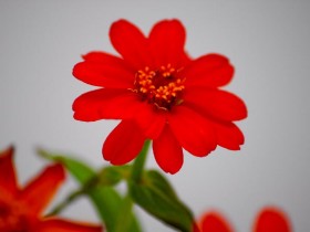 صور من ابداع اعضاء عمان فوتو