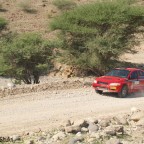 رالي عمان 2011 س رقم8