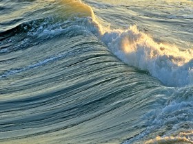 صور منوعة من الإنترنت