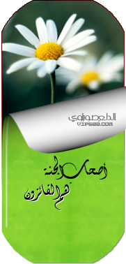تصميمي
