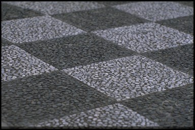 248000131