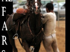 صور من ابداع اعضاء عمان فوتو