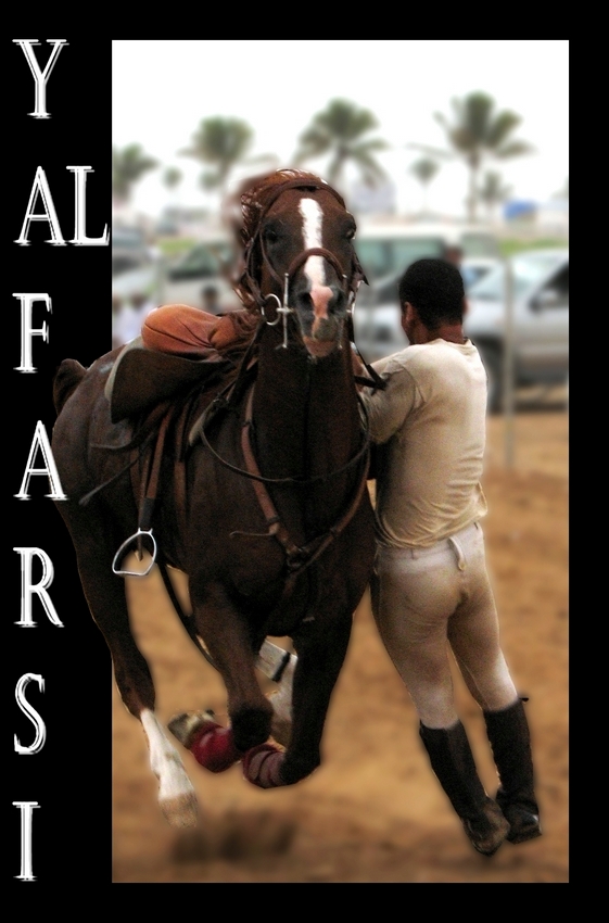 صور من ابداع اعضاء عمان فوتو