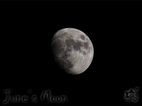 صور من ابداع اعضاء عمان فوتو