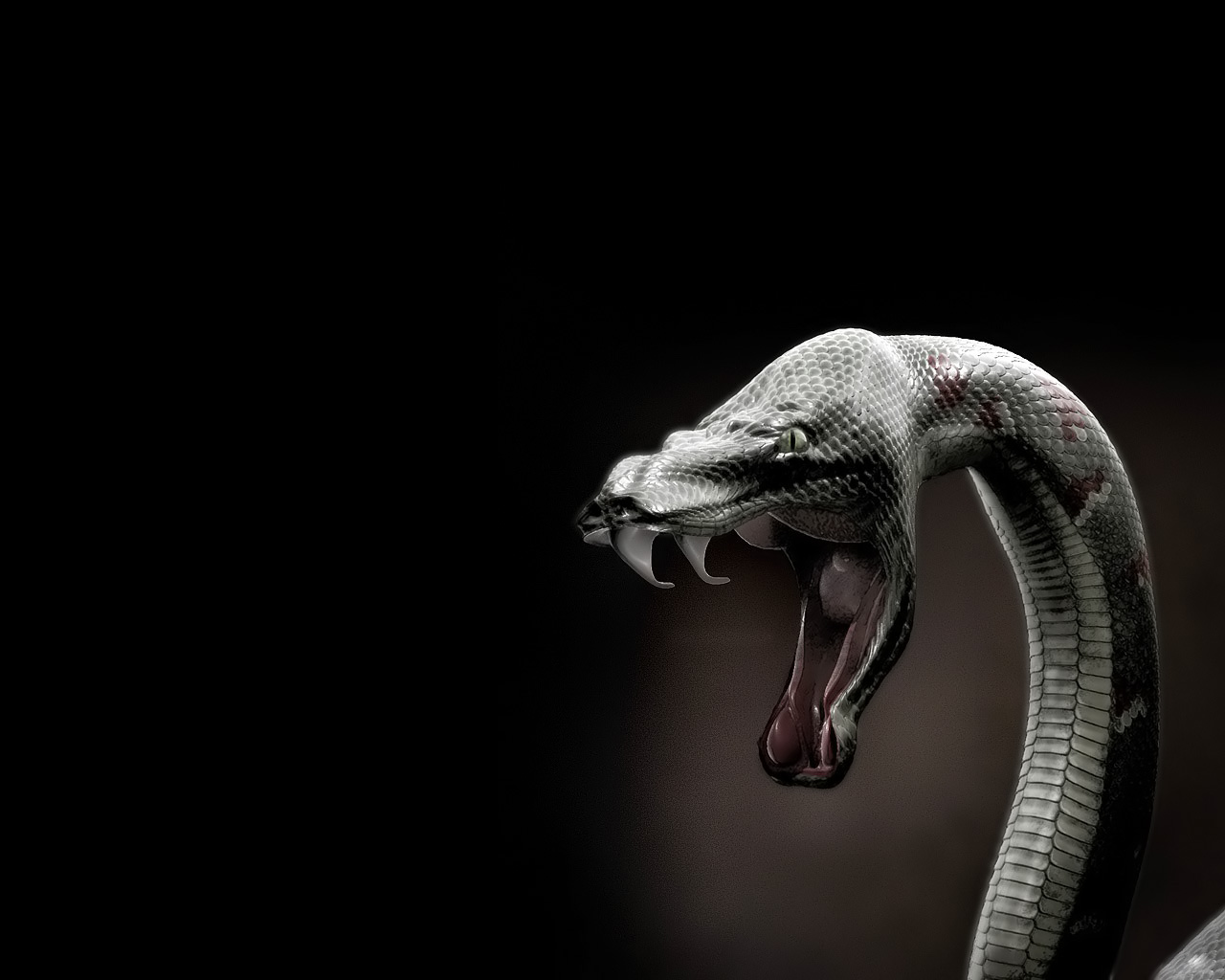 Rattling_1_70_