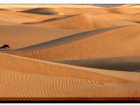 صور من ابداع اعضاء عمان فوتو