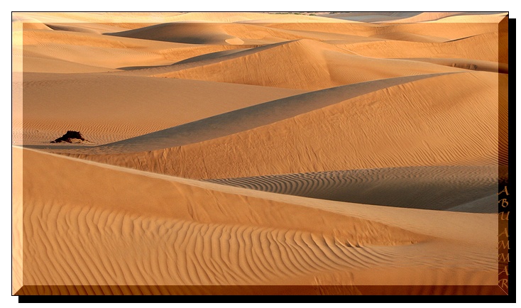 صور من ابداع اعضاء عمان فوتو