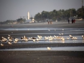 صور من ابداع اعضاء عمان فوتو