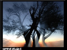 صور من ابداع اعضاء عمان فوتو