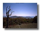 tnNature103-sooar_org