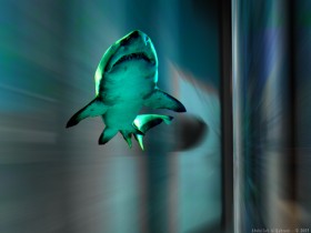 1525063-62ef105281271913_1_