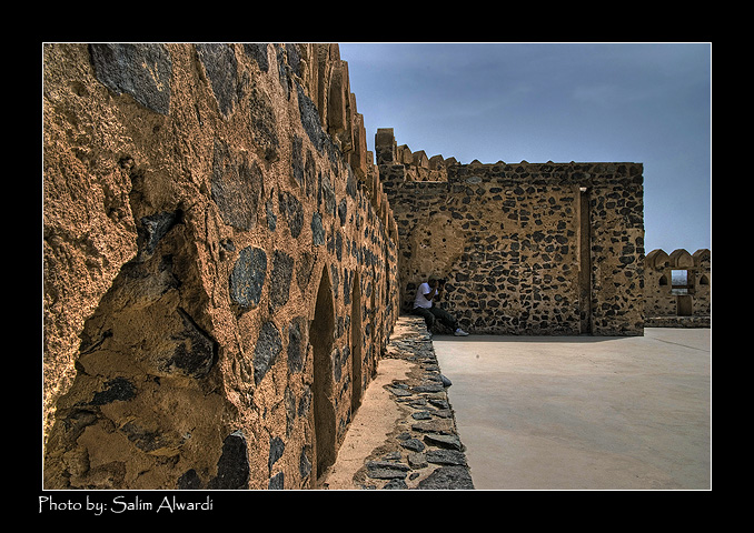 صور من ابداع اعضاء عمان فوتو