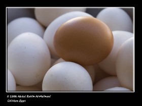 صور من ابداع اعضاء عمان فوتو