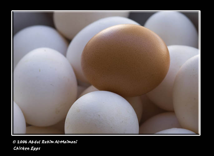 صور من ابداع اعضاء عمان فوتو