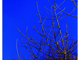 صور من ابداع اعضاء عمان فوتو