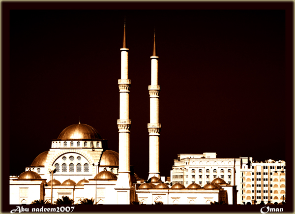 صور من ابداع اعضاء عمان فوتو