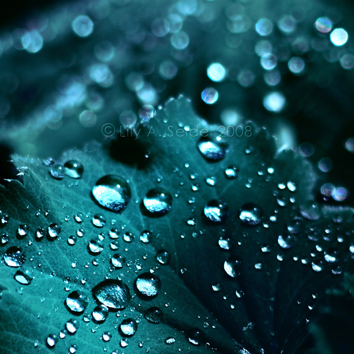 4f127a2b4f1ab8a43273c133e8afa126