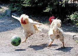 387053_485661354778052_738436127_n