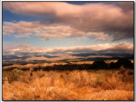 Nature104-sooar_org_1_