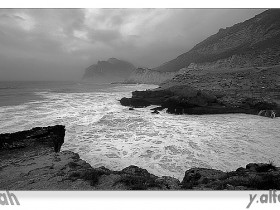 صور من ابداع اعضاء عمان فوتو