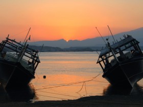 صور من ابداع اعضاء عمان فوتو