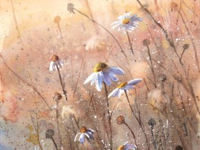 Camomiles_2_by_mashami