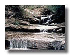 tnNature16-sooar_org