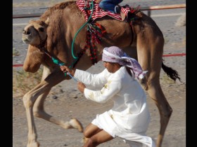 صور من ابداع اعضاء عمان فوتو